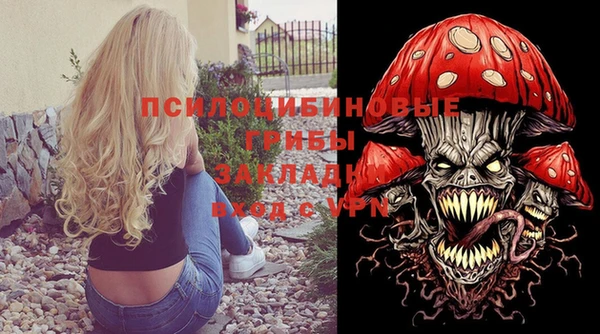 Альфа ПВП Гусев