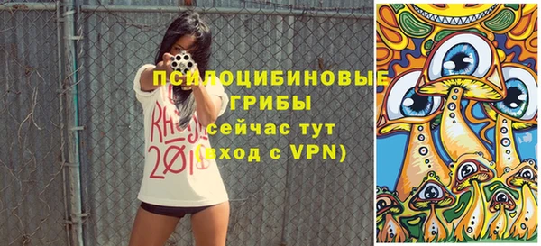 Альфа ПВП Гусев