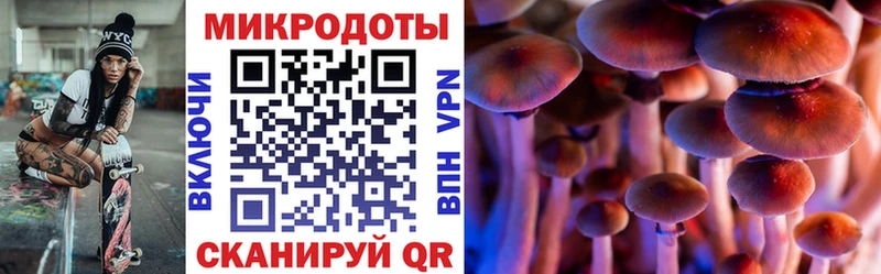 мега ссылки  наркотики  Кондрово  Псилоцибиновые грибы MAGIC MUSHROOMS 